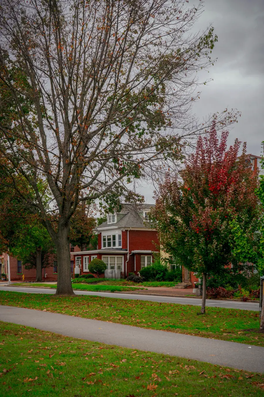 Brick home framed by fall trees on a quiet Camp Hill-style street