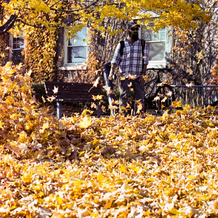 Leaf blowing and seasonal cleanup
