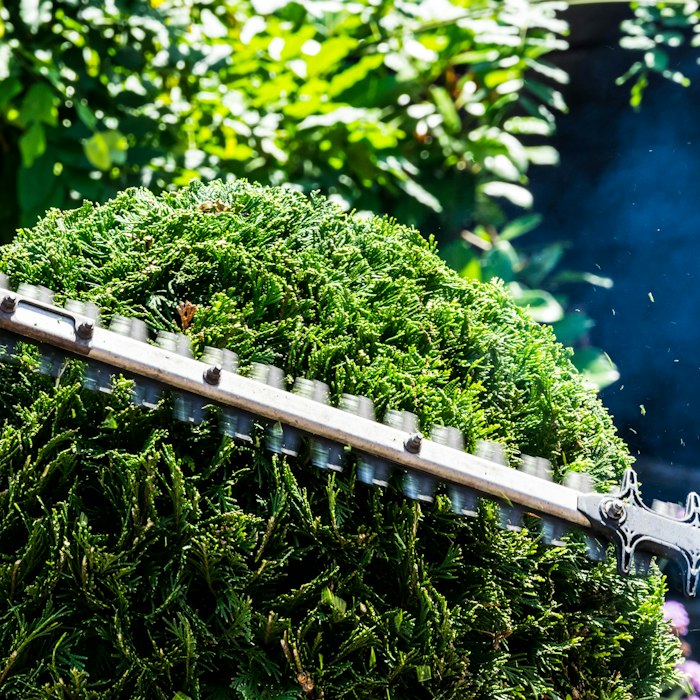 Hedge and shrub trimming